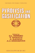 Pyrolysis and Gasification - Ferrero, G L (Editor), and Maniatis, K (Editor), and Buekens, A (Editor)