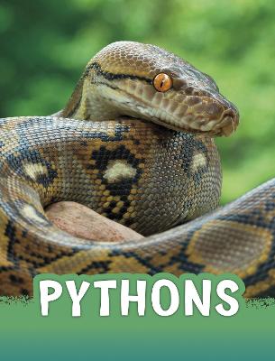 Pythons - Rustad, Martha E. H.
