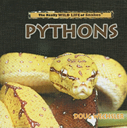 Pythons