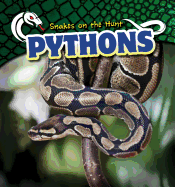 Pythons