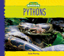 Pythons