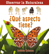 ?Qu? Aspecto Tiene? (How Does It Look?)
