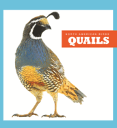 Quails