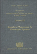 Quantum Phenomena in Mesoscopic Systems