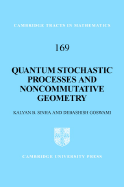 Quantum Stochastic Processes and Noncommutative Geometry