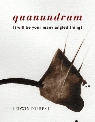 Quanundrum [I Will Be Your Many Angled Thing] - Torres, Edwin