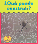 Que Puede Construir?