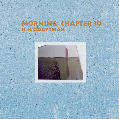R. H. Quaytman: Morning Chapter 30 - Simpson, Bennett, and Bois, Yve-Alain (Contributions by), and Rebentisch, Juliane (Contributions by)