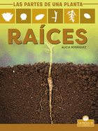 Ra�ces (Roots)