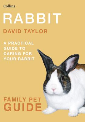 Rabbit - Taylor, David