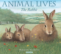 Rabbit - Kitchen, Bert
