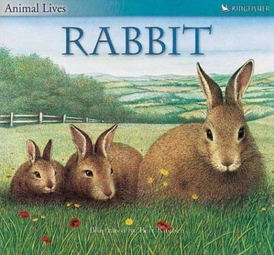 Rabbit - Tagholm, Sally