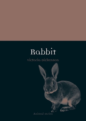 Rabbit - Dickenson, Victoria