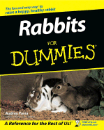 Rabbits for Dummies