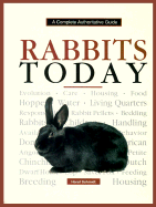 Rabbits Today