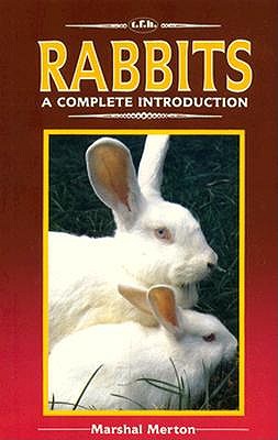 Rabbits - Merton, Marshall