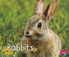 Rabbits