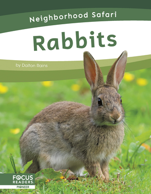 Rabbits - Rains, Dalton