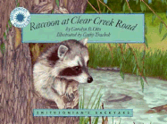 Raccoon at Clear Creek Road