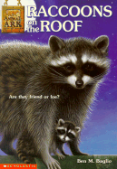 Raccoons on the Roof