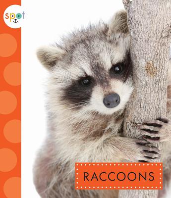 Raccoons - Storm, Marysa