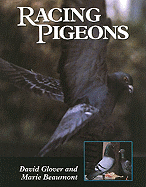 Racing Pigeons