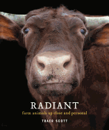 Radiant: Farm Animals Up Close and Personal