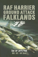 RAF Harrier Ground Attack: Falklands