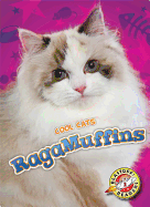 Ragamuffins