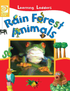 Rain Forest Animals