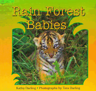Rain Forest Babies