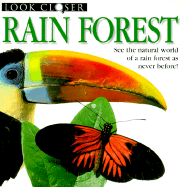 Rain Forest