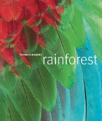 Rainforest - Marent, Thomas, and Morgan, Ben