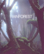 Rainforest