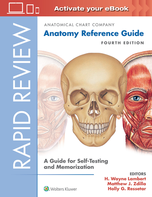Rapid Review: Anatomy Reference Guide: A Guide for Self-Testing and Memorization - Anatomical Chart Company (Producer), and Lambert, H. Wayne, PhD (Editor), and Zdilla, Matthew J., DC (Editor)