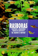 Rasboras: Keeping and Breeding Them in Captivity
