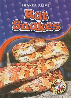 Rat Snakes - Sexton, Colleen