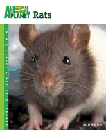 Rats