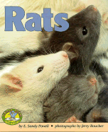 Rats - Powell, E Sandy