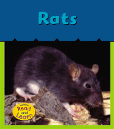 Rats