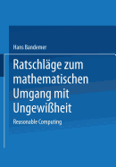 Ratschl?ge zum mathematischen Umgang mit Ungewi?heit: Reasonable Computing