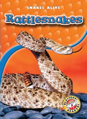 Rattlesnakes - Christian, David (Narrator), and Sexton, Colleen