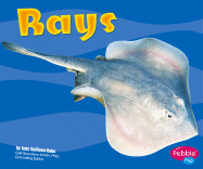 Rays