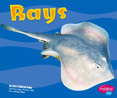 Rays - Rake, Jody S