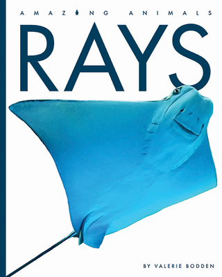 Rays - Bodden, Valerie