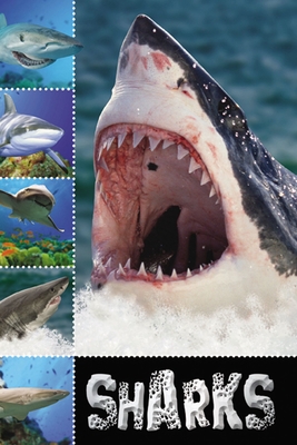 Ready to Read Sharks - Creese, Sarah