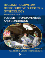 Reconstructive and Reproductive Surgery in Gynecology, Second Edition: Volume Two: Gynecological Surgery
