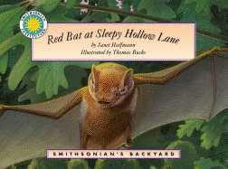 Red Bat at Sleepy Hollow Lane