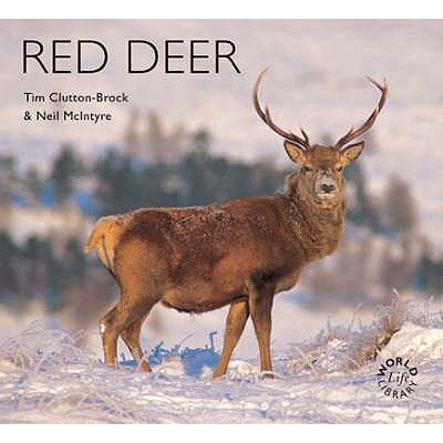 Red Deer - McIntyre, Neil, and Clutton-Buck, Tim