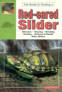 Red Eared Slider Turtles Real